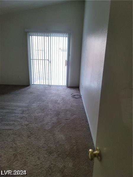 spare room with carpet