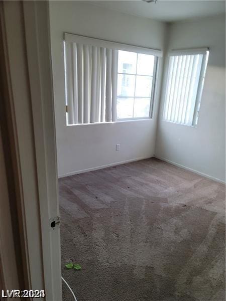 unfurnished room featuring carpet floors