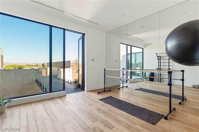 workout area with light hardwood / wood-style flooring and a healthy amount of sunlight