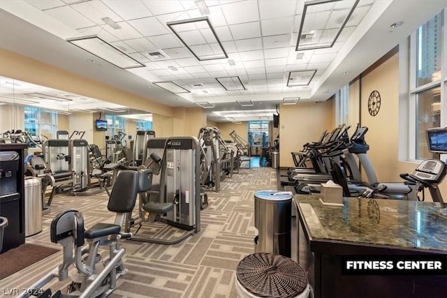 workout area featuring carpet floors