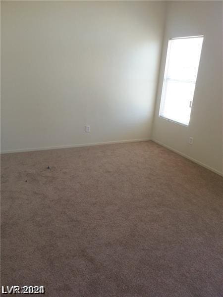 empty room featuring carpet floors