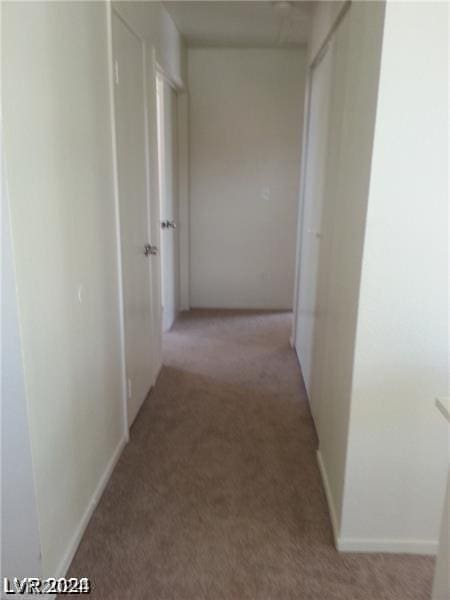 corridor with light colored carpet