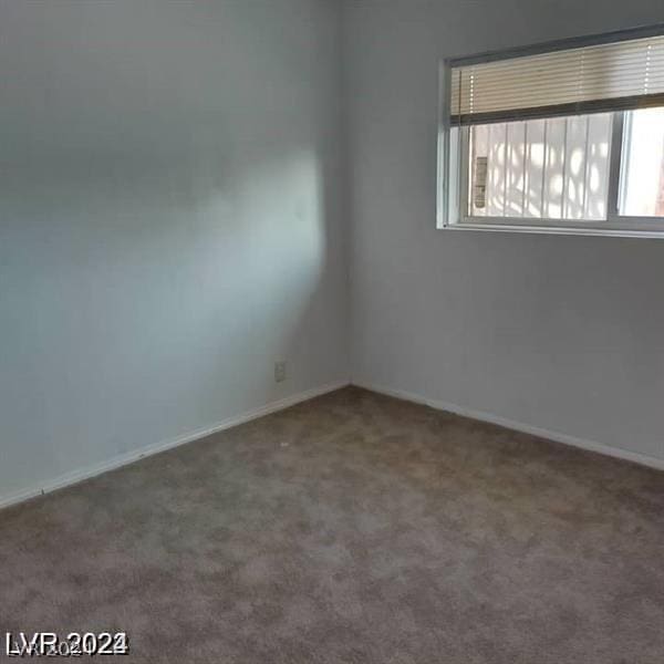 spare room with carpet flooring