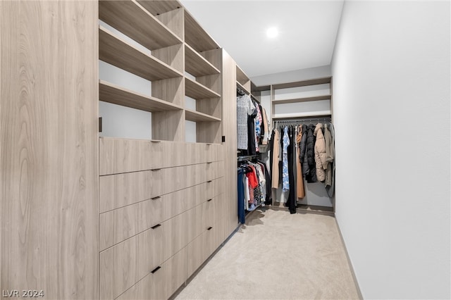 walk in closet featuring light carpet