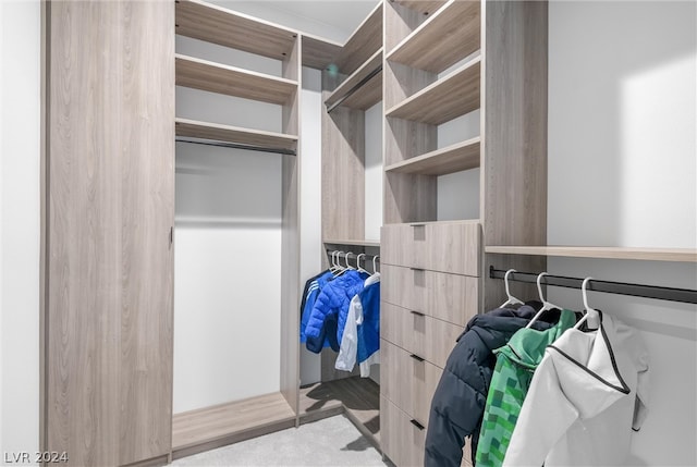 view of walk in closet