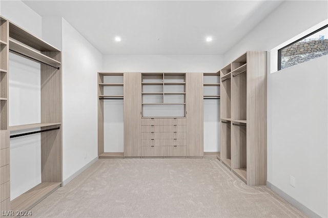 walk in closet with light carpet