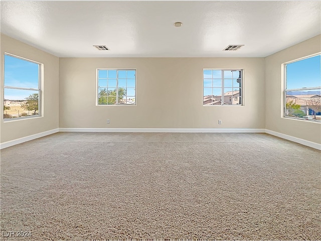 carpeted empty room with plenty of natural light