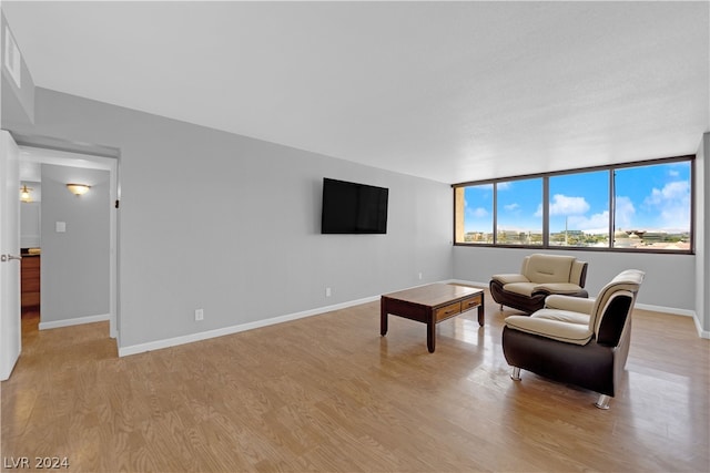 living room with light wood-type flooring