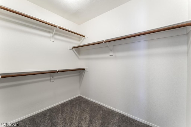 walk in closet featuring carpet flooring