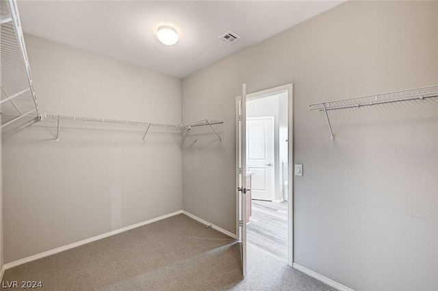 spacious closet featuring carpet flooring