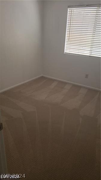 unfurnished room with carpet