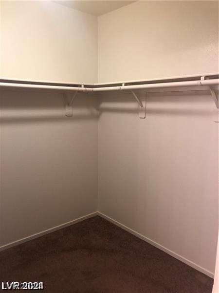 walk in closet featuring dark carpet