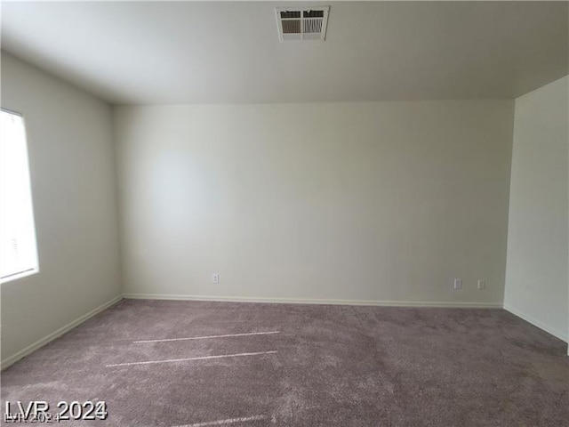 spare room with carpet floors and a wealth of natural light