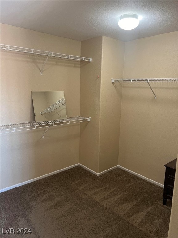 walk in closet featuring dark colored carpet