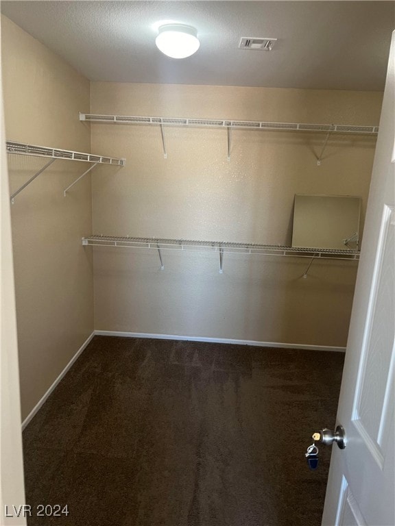 walk in closet with dark colored carpet