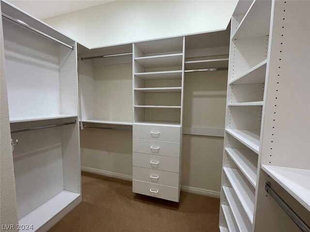 spacious closet with dark carpet