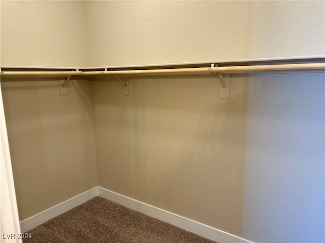 walk in closet featuring carpet