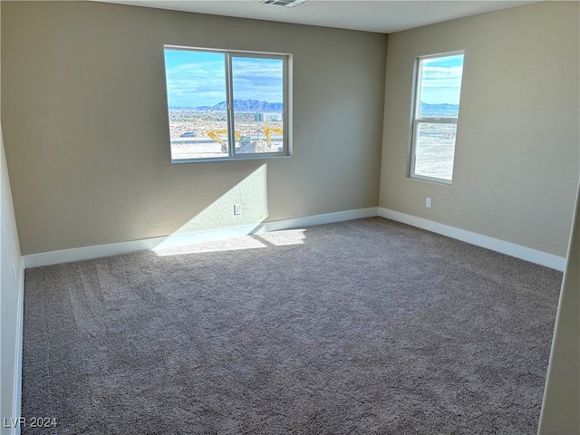 carpeted spare room with a wealth of natural light