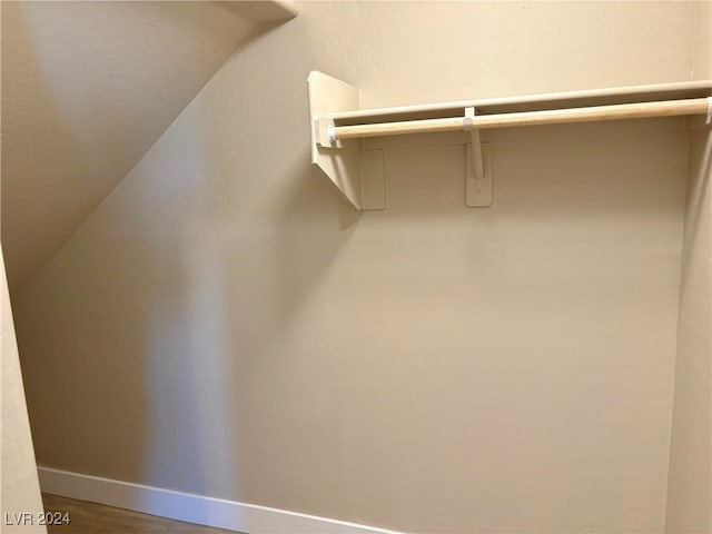 spacious closet with wood-type flooring