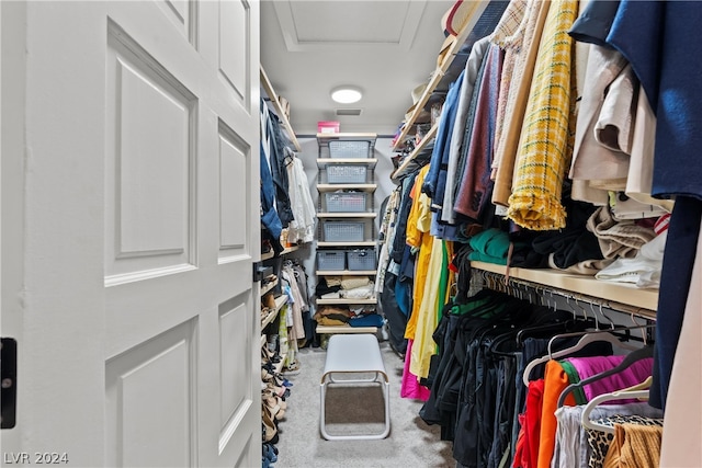 walk in closet featuring carpet floors