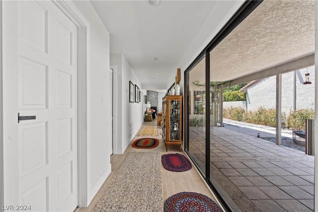 hallway featuring wood-type flooring