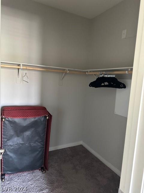 spacious closet featuring carpet floors