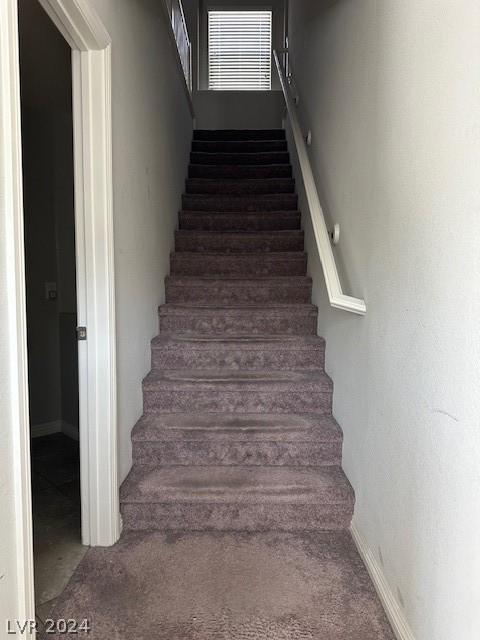 stairway featuring carpet floors