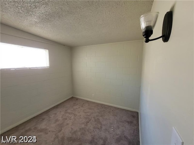 carpeted empty room with vaulted ceiling and a textured ceiling