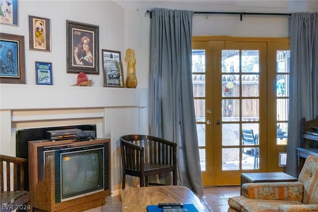 living area featuring a healthy amount of sunlight and a fireplace