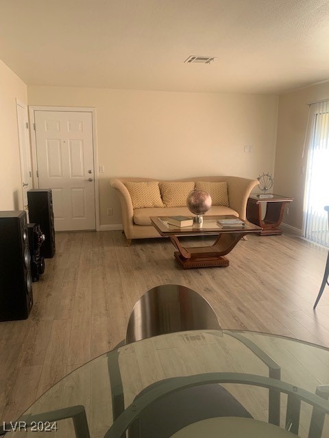 living room with light hardwood / wood-style flooring