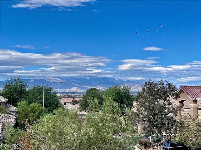 view of local wilderness with a mountain view