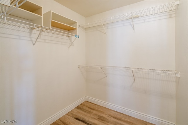 spacious closet featuring hardwood / wood-style floors