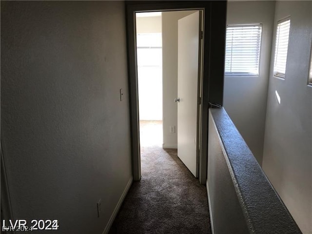 hallway featuring dark carpet