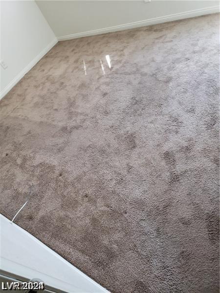 interior details with carpet flooring