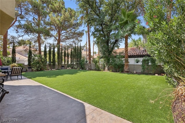 view of yard with a patio area