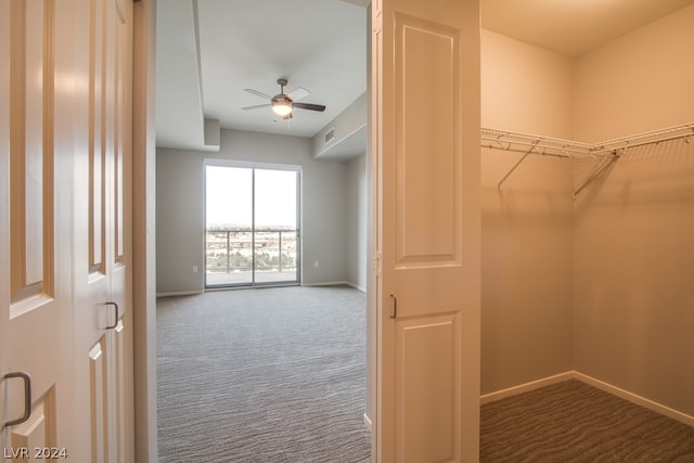 spacious closet featuring ceiling fan and carpet