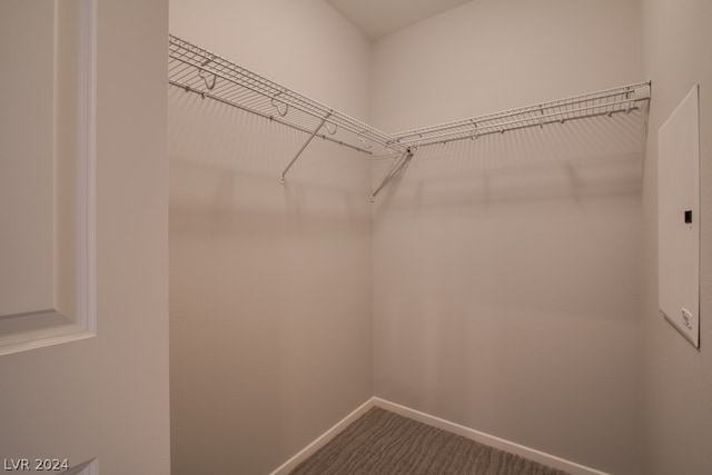 walk in closet with electric panel and carpet