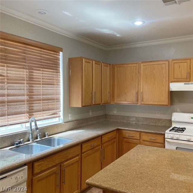 kitchen featuring sink, crown molding, and white appliances