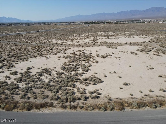 1300 E Laguna St, Pahrump, NV 89048 - photo 10