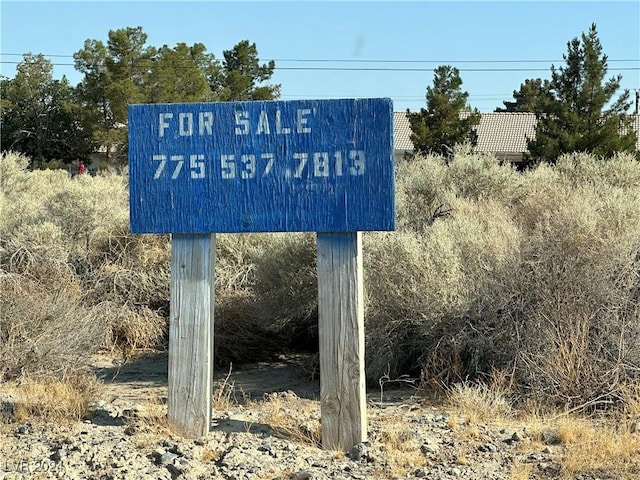 1300 E Laguna St, Pahrump, NV 89048 - photo 25