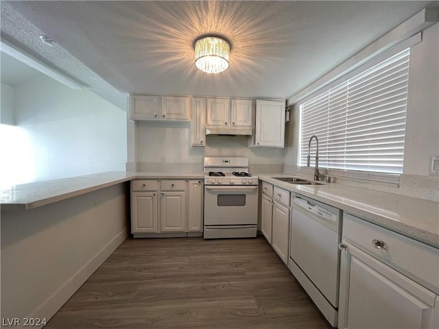 kitchen with sink, white appliances, dark hardwood / wood-style floors, light stone counters, and white cabinets