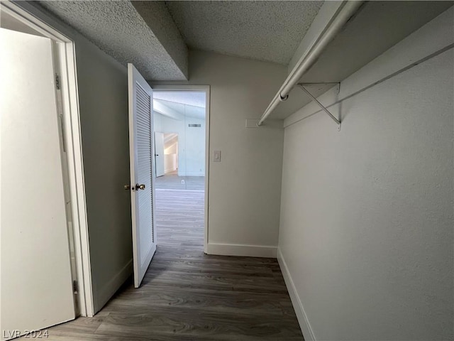 spacious closet featuring dark wood-type flooring