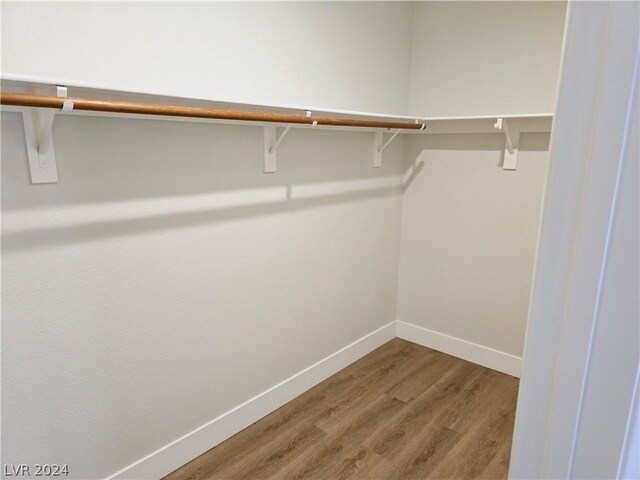 spacious closet with hardwood / wood-style flooring