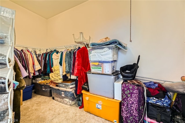 spacious closet with carpet flooring