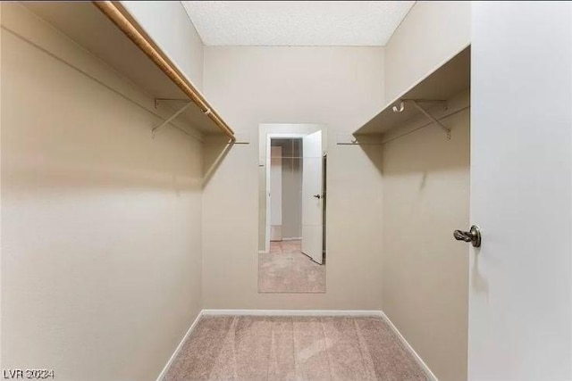 walk in closet featuring carpet flooring