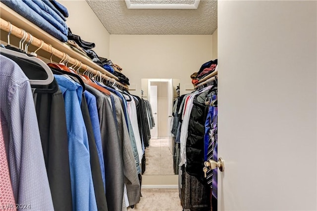 spacious closet with light colored carpet