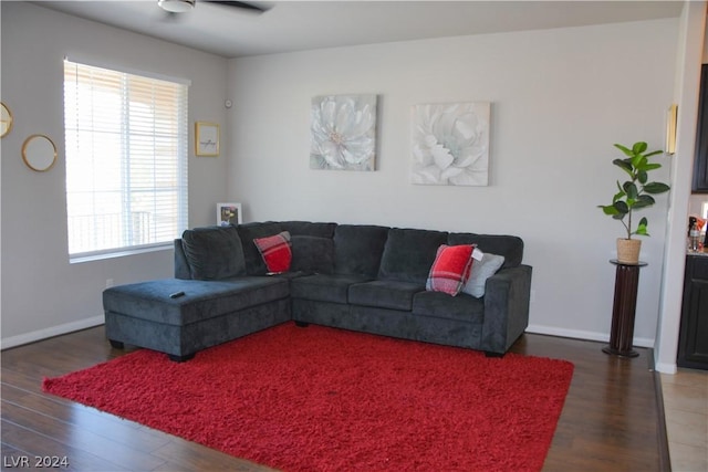 living room featuring dark hardwood / wood-style flooring