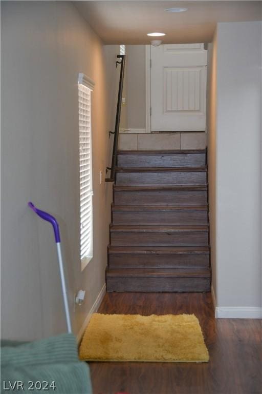 stairway with hardwood / wood-style floors