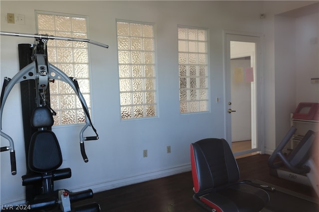 office space featuring dark hardwood / wood-style floors