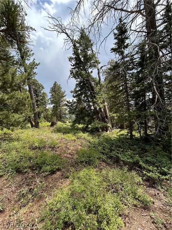 1272 Aspen Dr, Brian Head, UT 84719 - photo 8